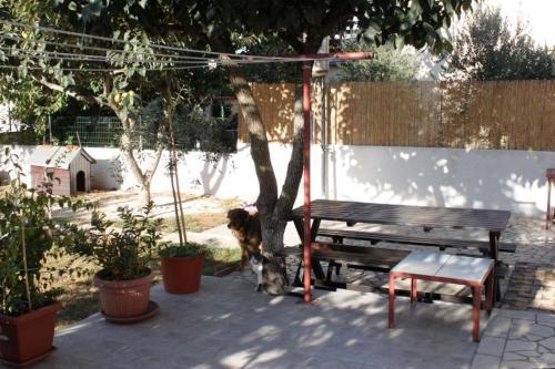 Apartment Medulin 7295a