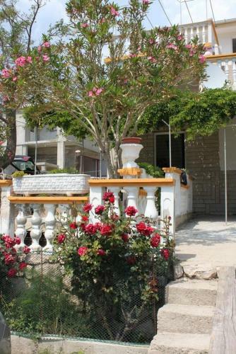 Apartment Metajna 6352b