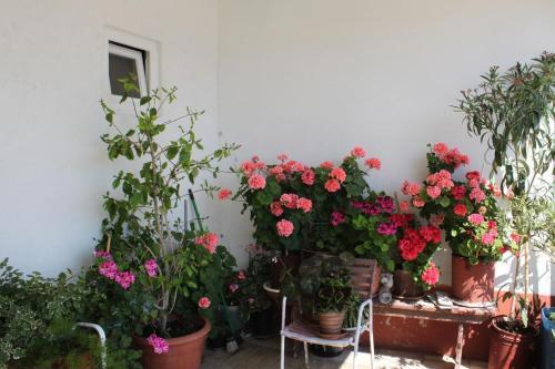 Hostal Rooms By The Sea Metajna (pag) - 6496