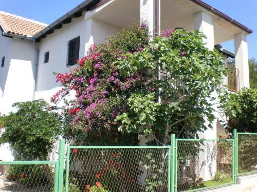 Apartment Milna 14961a