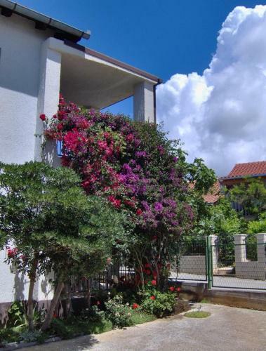 Apartment Milna 14961a