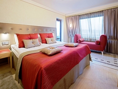 Hotel Sokos City Bors