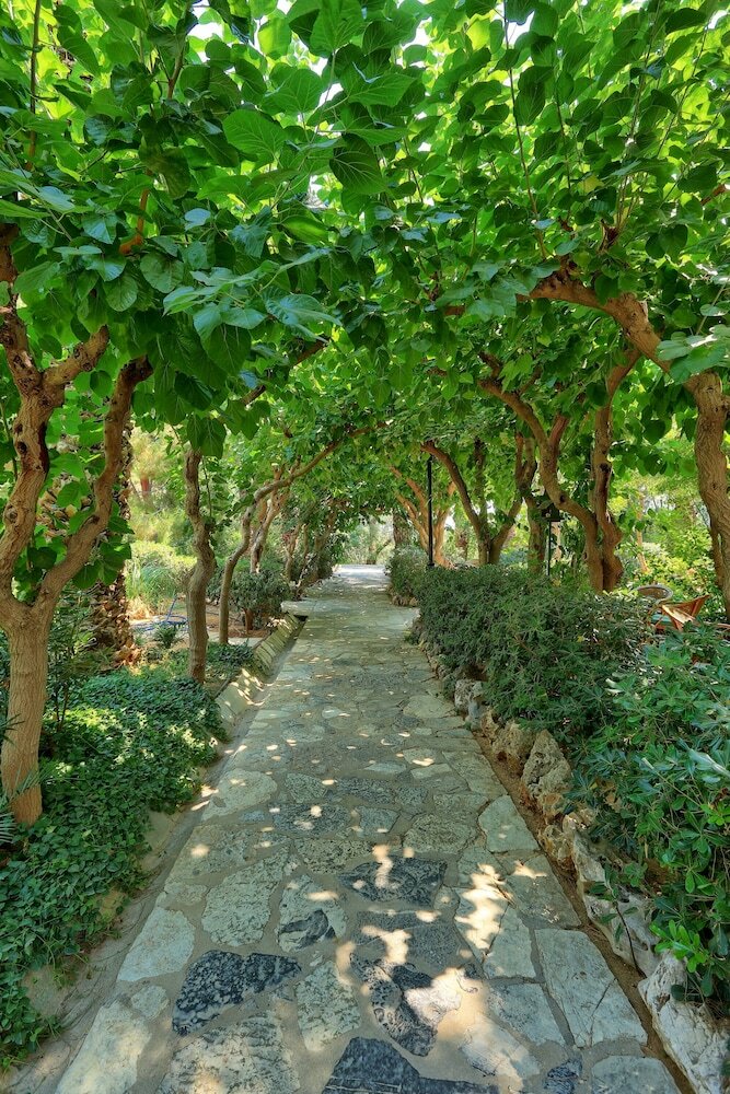 Hotel Apollonia Beach