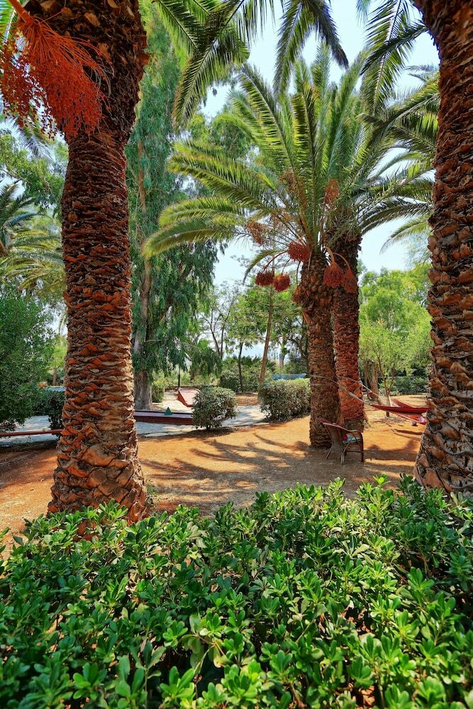 Hotel Apollonia Beach