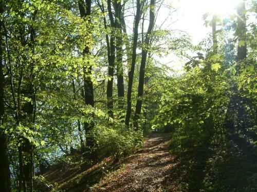 Waldseehotel Frenz