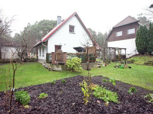Waldblick