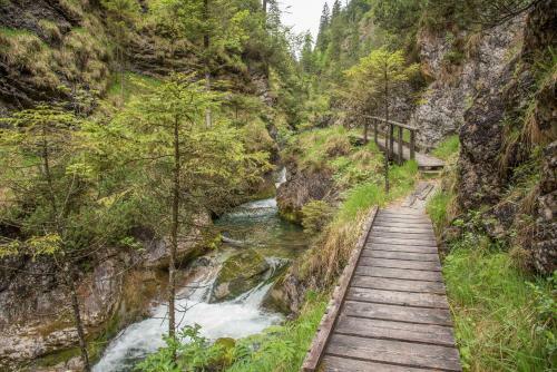 Apartamento Ferienwohnungen Ilsanker - Doffenlehen