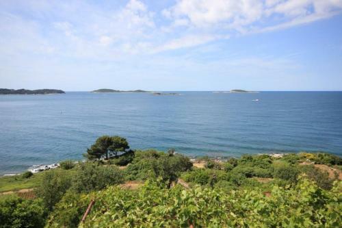 Apartments By The Sea Soline (dubrovnik) - 8825