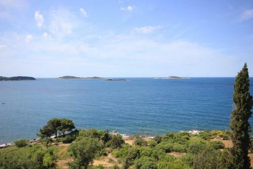 Apartments By The Sea Soline (dubrovnik) - 8825