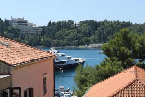 Apartment Cavtat 8974b