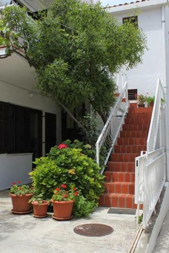 Apartment Cavtat 8993b