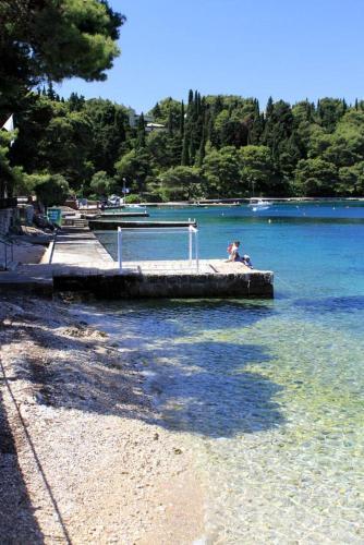 Apartment Cavtat 8993b