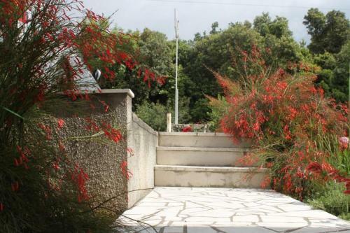 Apartamentos Studio Cavtat 8986a