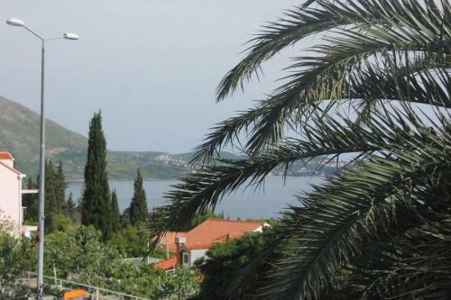 Apartment Mlini 8985a