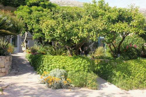 Apartment Mlini 8985a