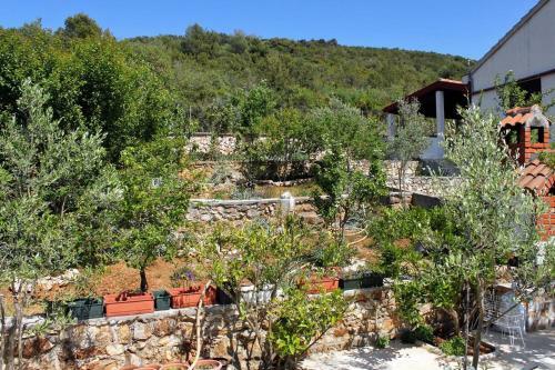 Apartments By The Sea Brgulje (molat) - 6243