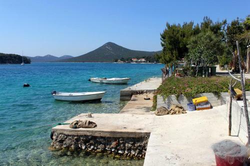 Apartments By The Sea Brgulje (molat) - 6243