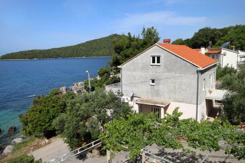 Apartments By The Sea Molunat (dubrovnik) - 8956
