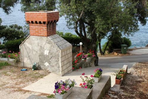 Apartments By The Sea Molunat (dubrovnik) - 8956