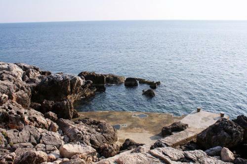 Apartamentos Studio Molunat 14613a