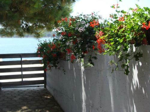 Apartments By The Sea Molunat (dubrovnik) - 14613