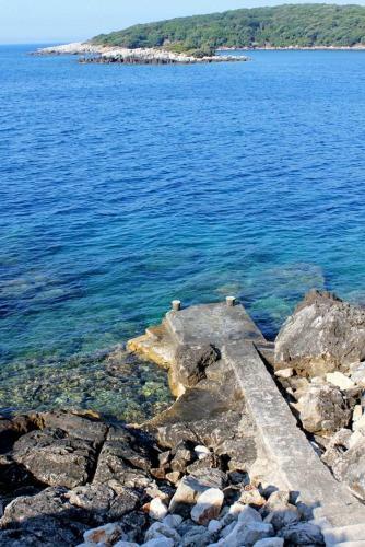 Apartments By The Sea Molunat (dubrovnik) - 14613