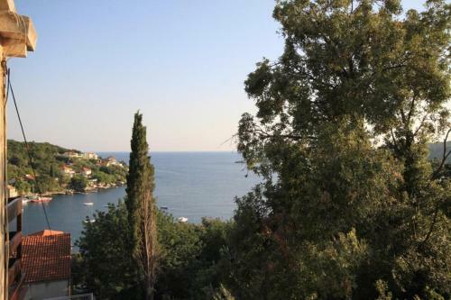 Apartments By The Sea Molunat (dubrovnik) - 8550