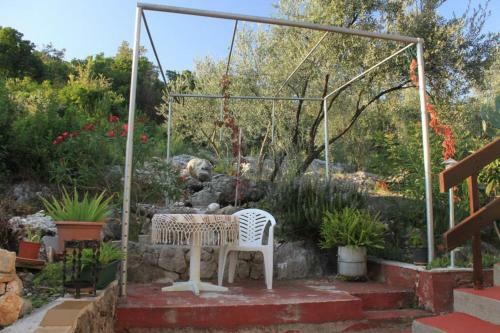 Apartments By The Sea Molunat (dubrovnik) - 8550