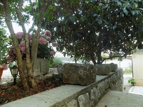 Apartamentos Studio Zagore 13277b