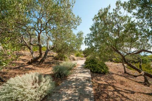 Apartamentos Holiday Home Robinzon