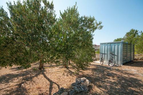 Apartamentos Holiday Home Robinzon
