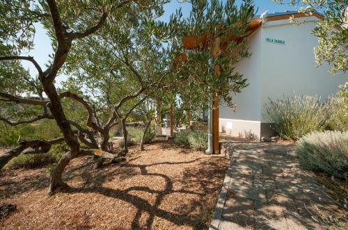Apartamentos Holiday Home Robinzon