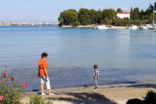 Family Friendly Seaside Apartments Preko (ugljan) - 8232