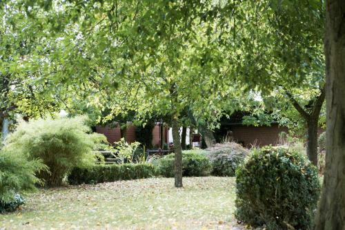 Hostal Haus Hilckmann