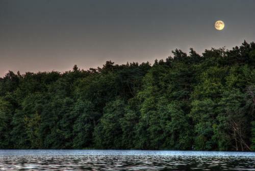 Hostal Hotel Am Liepnitzsee