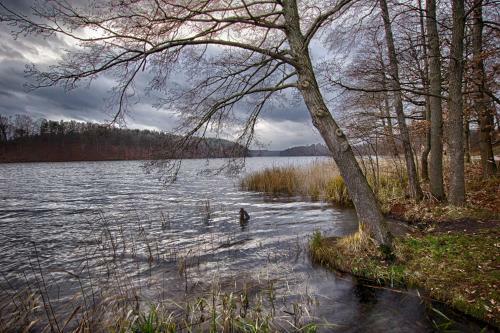 Hostal Hotel Am Liepnitzsee