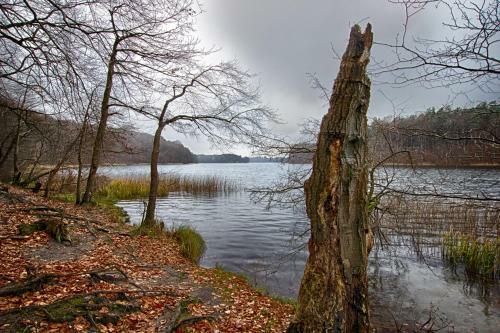 Hostal Hotel Am Liepnitzsee