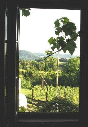 Apartamento In Der Alten Weinstube