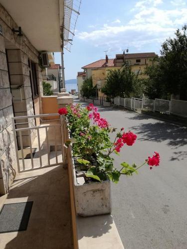 Apartment Podgora 13216a