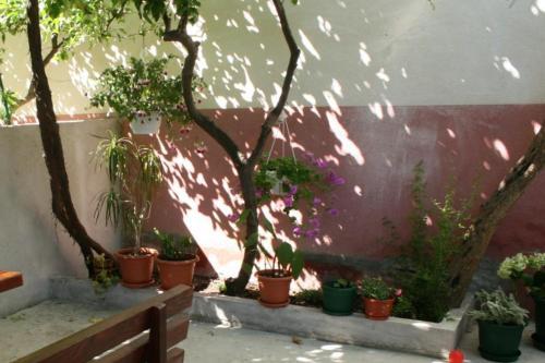 Apartment Podgora 13216a
