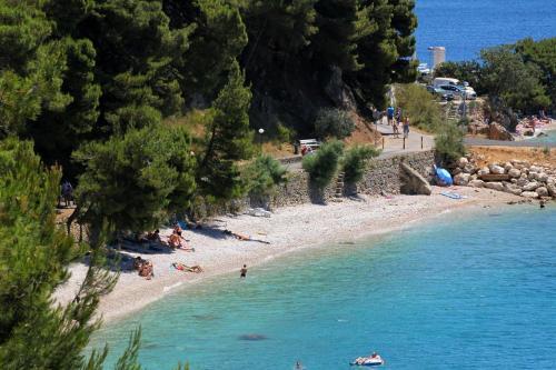 Apartment Podgora 12465b