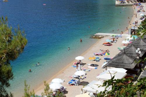 Apartment Podgora 12465b
