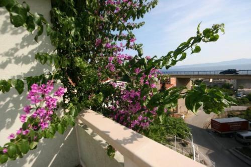 Apartment Podgora 6706c