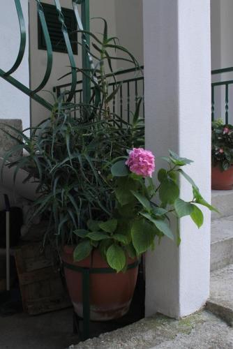 Apartment Podgora 6672a