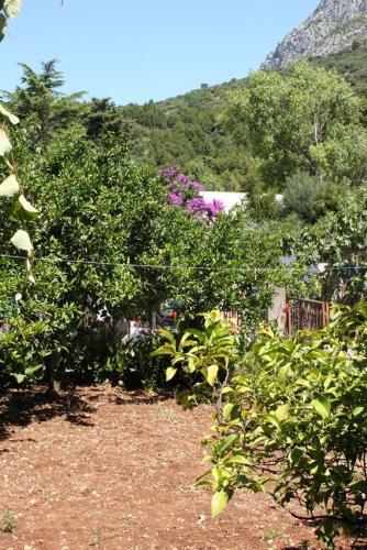 Apartamentos Studio Podaca 6821d