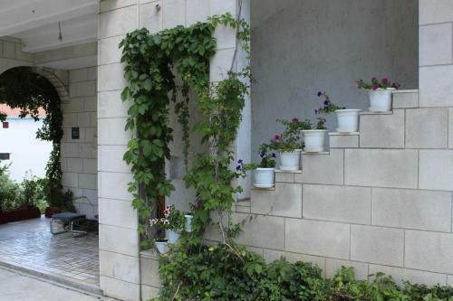 Apartments By The Sea Brist (makarska) - 6867