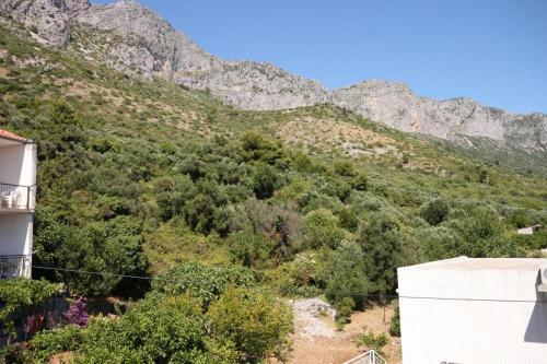Apartments By The Sea Podaca (makarska) - 6745