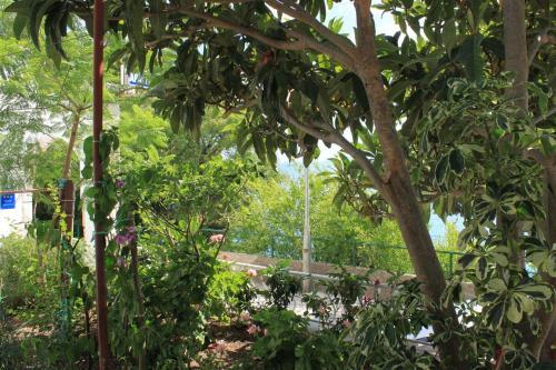 Apartments By The Sea Brist (makarska) - 505
