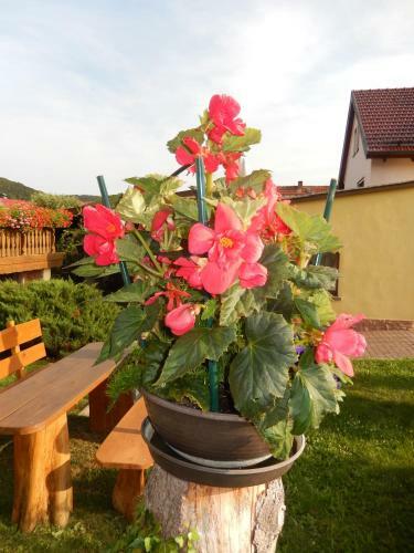 Apartamento Ferienwohnung In Der Rh�n