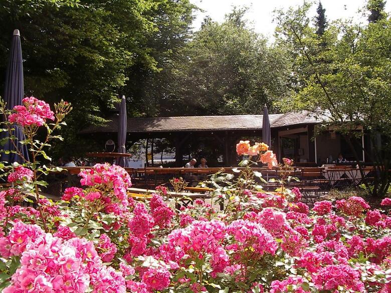 Hotel Eifelstern